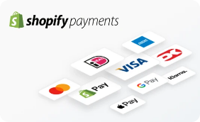 Payment Gateway Integration